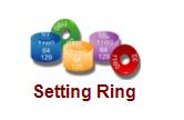setting ring